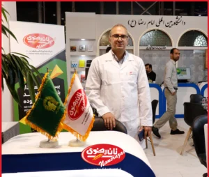 کیک بدون گلوتن رضوی
