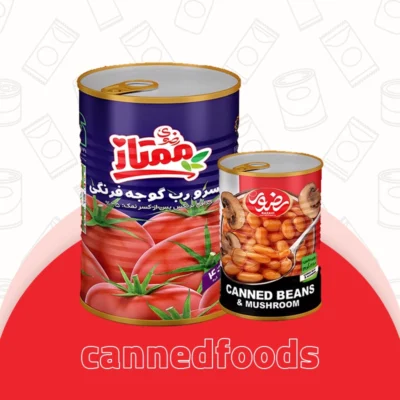 رب و کنسرو رضوی